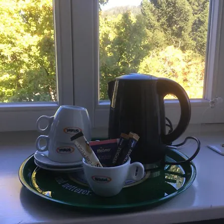 Zum Loewen - Restaurant Akropolis 2* Hausach