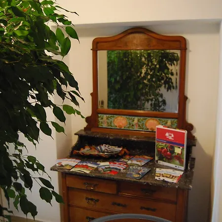 Zum Loewen - Restaurant Akropolis 2* Hausach